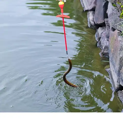 自动钓黄鳝钩新手懒人钩鳝鱼钩专用高岸钓套装引条鱼钩钓黄鳝神器