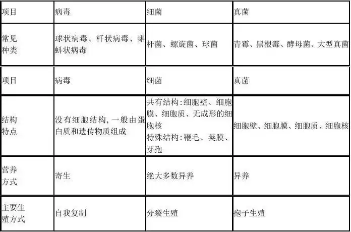 二,细菌,真菌在生物圈中的作用 1.促进生物圈中的碳循环