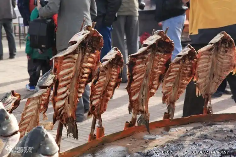 新疆旅游攻略:国庆金秋包车自由行攻略