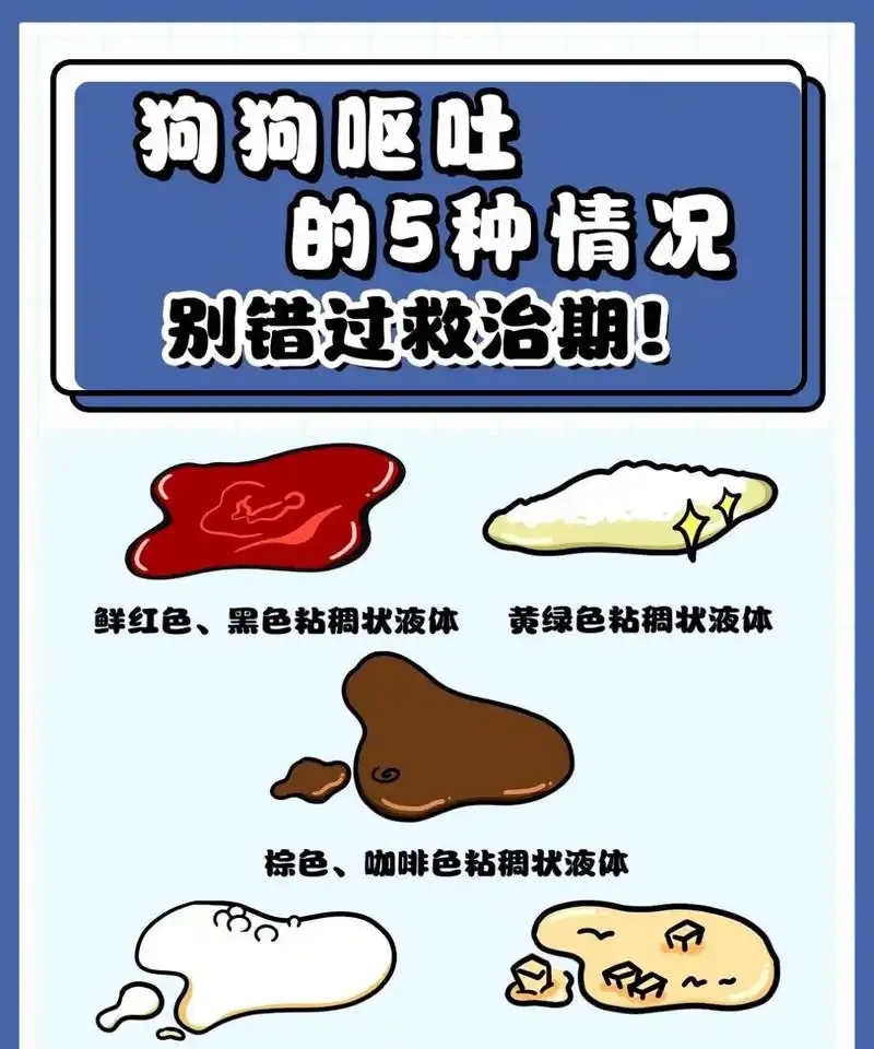 通过观察狗狗呕吐物,可以判断它的健康状况.