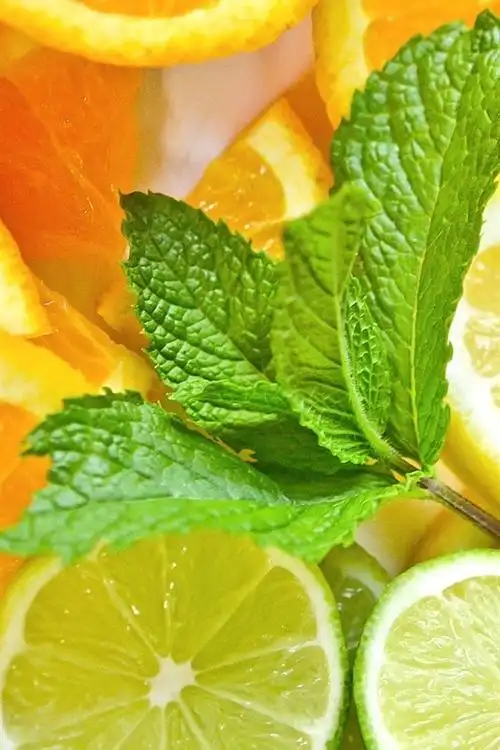 壁纸 水果片,柠檬,橙,酸橙,薄荷 1920x1200 hd 高清壁纸, 图片, 照片