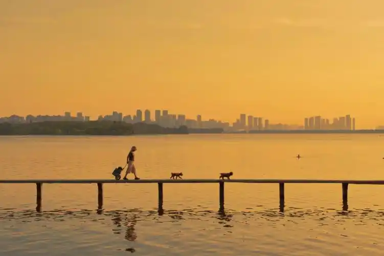 武汉大学凌波门日出太美了