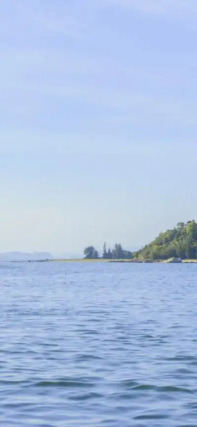 浅蓝色壁纸 甜美