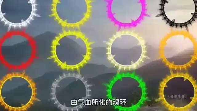 斗罗大陆中的十二种魂环不用感谢万年粉的厨力了