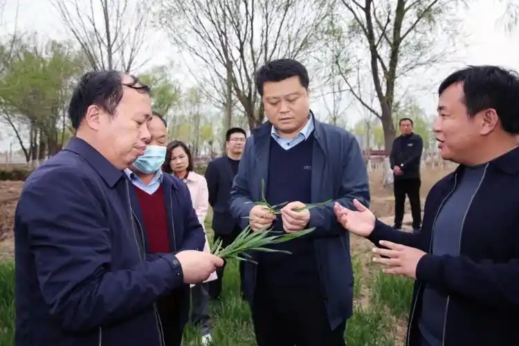 范县县长王小鹏调研农业农村重点项目建设工作