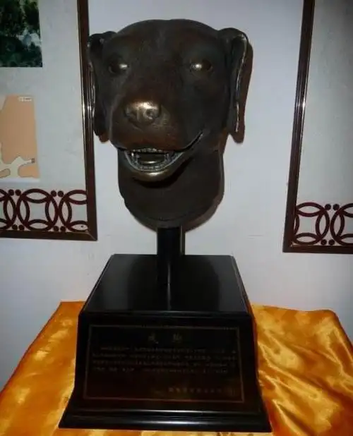 在美国的华人郑安迪(音)称自己月前在旧货店以1000美元购得一狗首铜像