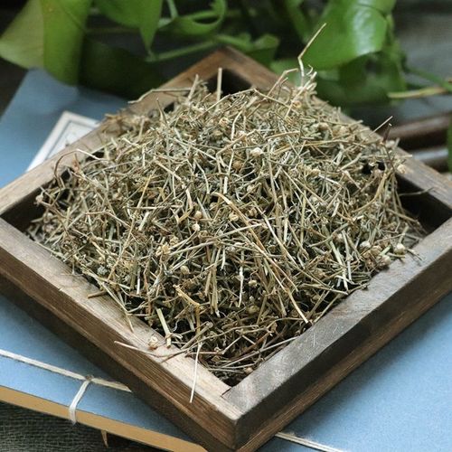 北京同仁堂原料 野生白花蛇舌草500克中药材新货蛇舌草茶百花蛇舌草白