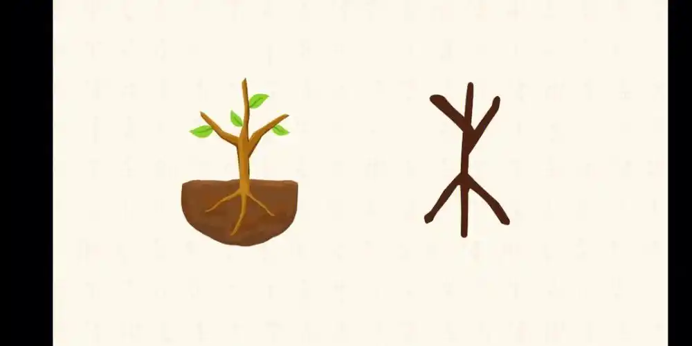 木:古字形是树木,本义是树木;木材,木料(木板,木器);失去知觉(麻木)