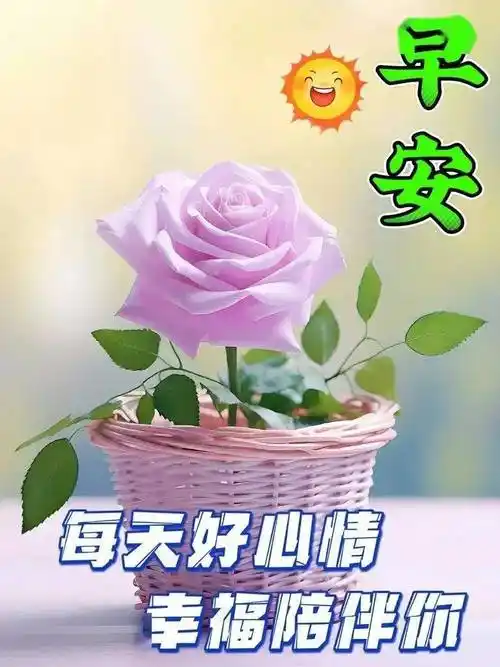 今日最新早上好表情图片大全,美在心情,乐在生活_祝福_朋友_问候
