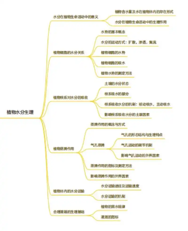 今天和同学分享的是植物生理学思维导图 同学有需要可以私聊 后续也会