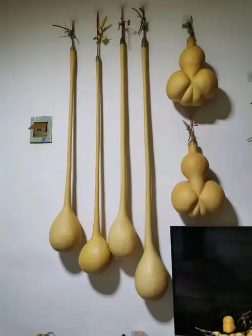 孙悟空甚至可以扛着去取经……|周正|鹤首|仙鹤|油锤|小葫芦_网易订阅