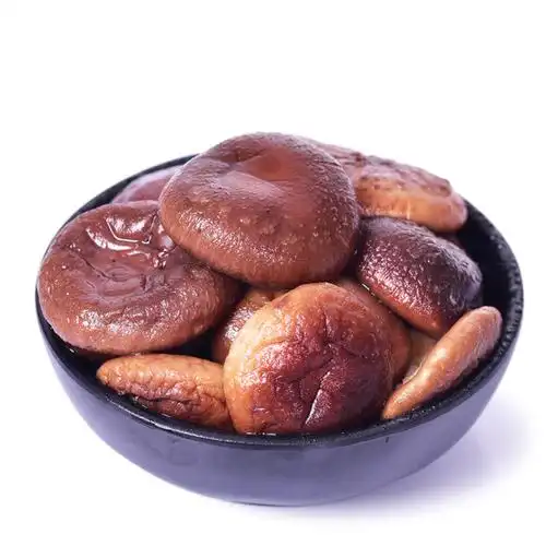 四川甘孜特产 川野 高原椴木小香菇 200g