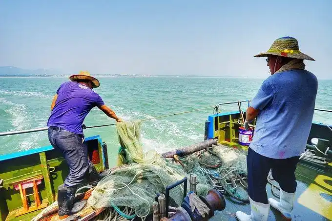 8月29-30号日照赶海二日游方案