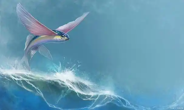 《飞鱼的悲伤故事:自然世界的交响曲》- 探索飞鱼的生命