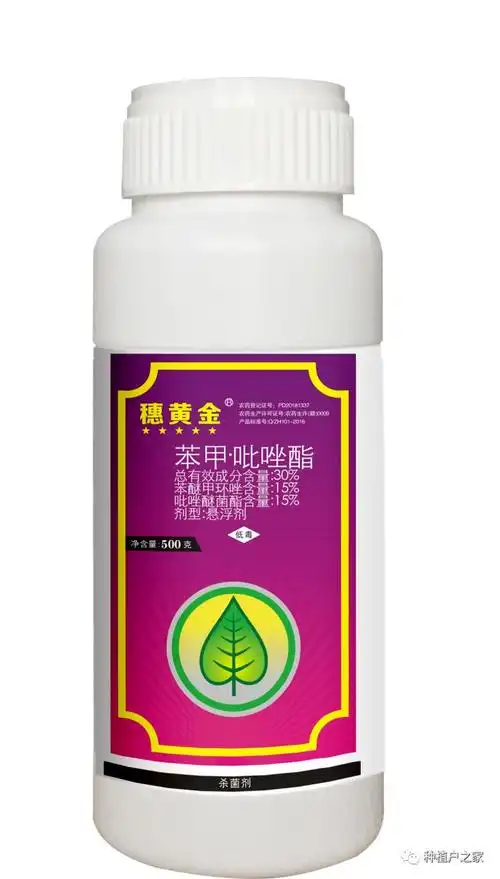 雨后柑桔褐斑病易爆发不容小觑