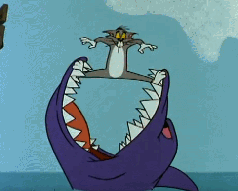 汤姆喵星人鲨鱼支撑gif动图_动态图_表情包下载_soogif