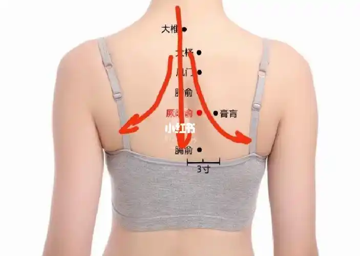 免疫力第一 | 感冒发烧02浑身酸痛教你解决!