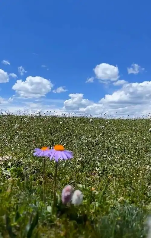 西藏昌都美丽的空中草原