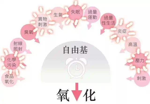 辟谣抗氧化vs抗糖化到底哪个是智商税