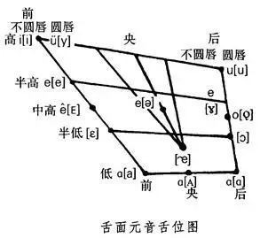画出"舌面元音舌位图",将下列音节中的主要元音标注在舌位图相应的