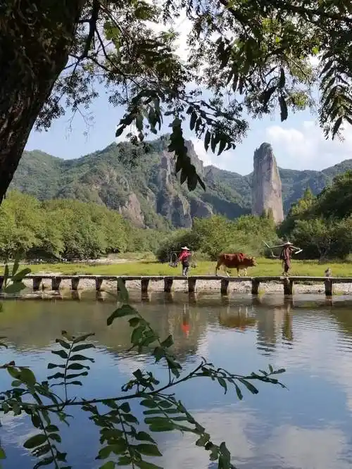 10月1-3日浙南秘境 ---行走于烈日的怀抱中,松阳旅游攻略-游侠客社区