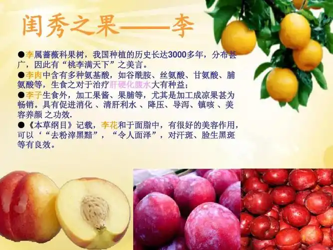 动画之水果种类介绍ppt