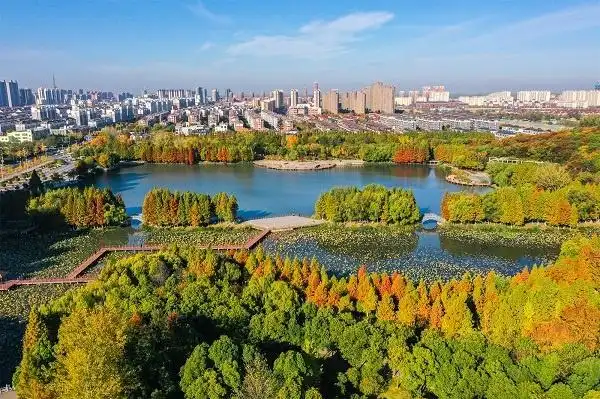 市泗阳县生态湿地公园景色宜人,色彩斑斓的树木将园区装扮得格外美丽