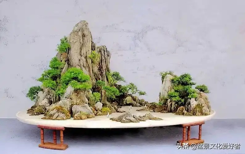 假山盆景(中国山水盆景真是太美了)-第37张图片