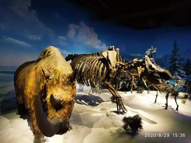 澄江化石地自然博物馆