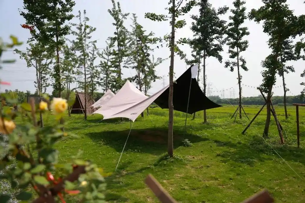 图集|走进广富林郊野公园