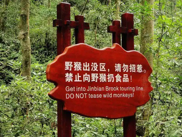 提醒游客不要给野猴子食物的警示牌,ctlyc888