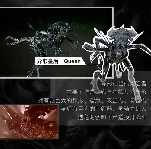 看懂《异形:契约》必补这一课!