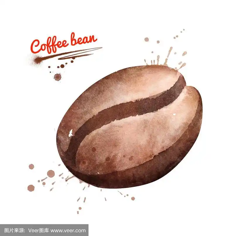 一颗咖啡豆的水彩插图
