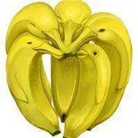 香蕉君经典回头头像_微信头像图片大全