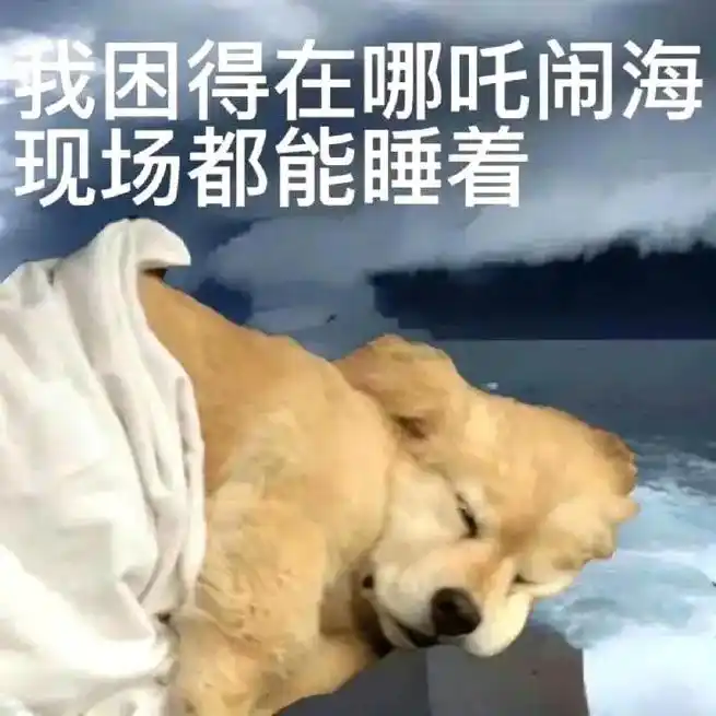 表情包 好困 像狗一样 - 抖音