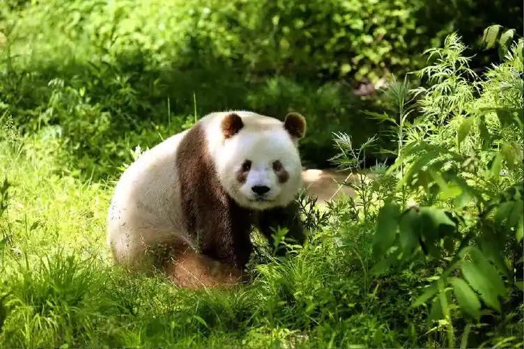 迎接高铁全域旅游新时代汉中精品旅游路线请收好