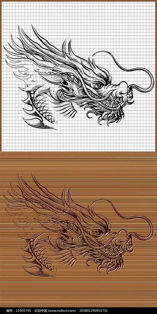 中国龙头侧面矢量图案
