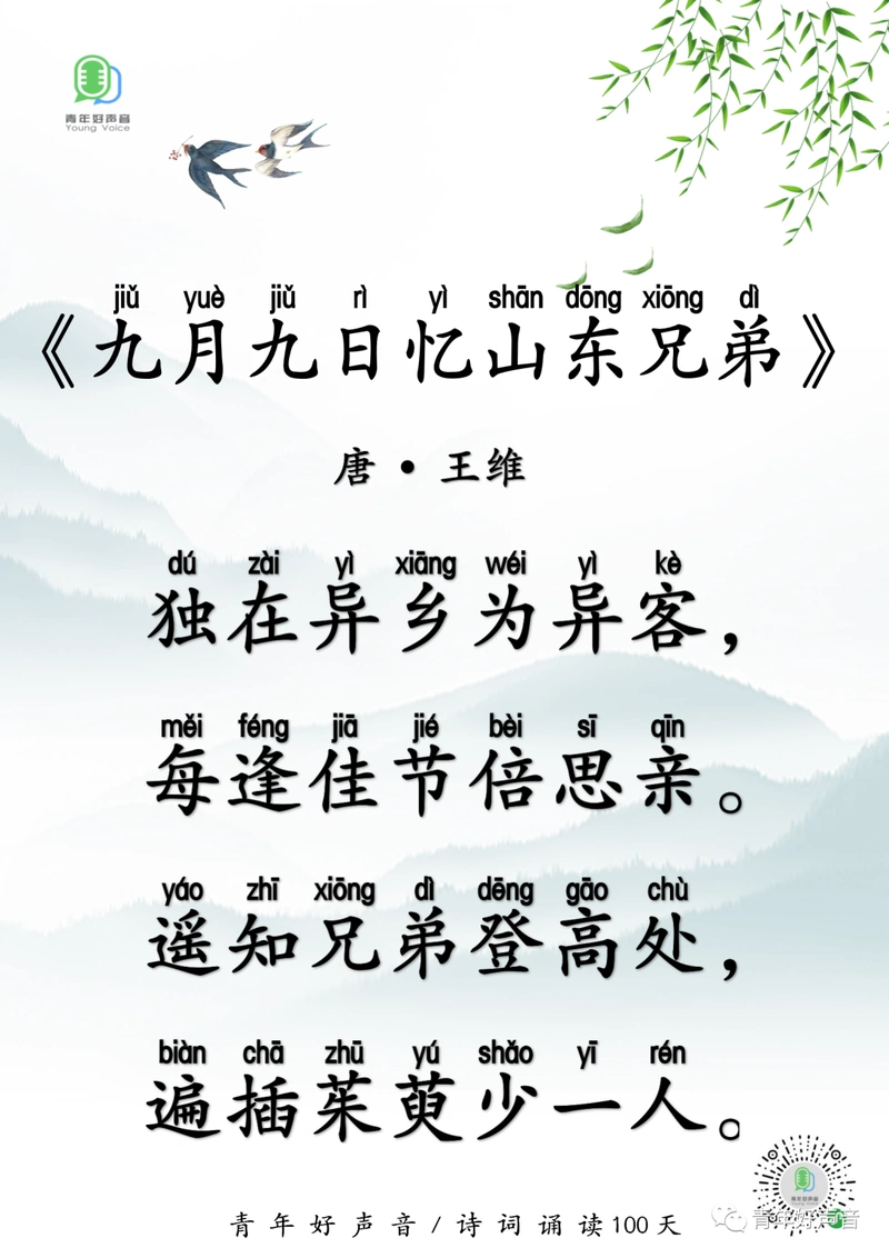 34.《九月九日忆山东兄弟》/「诗词诵读100天」