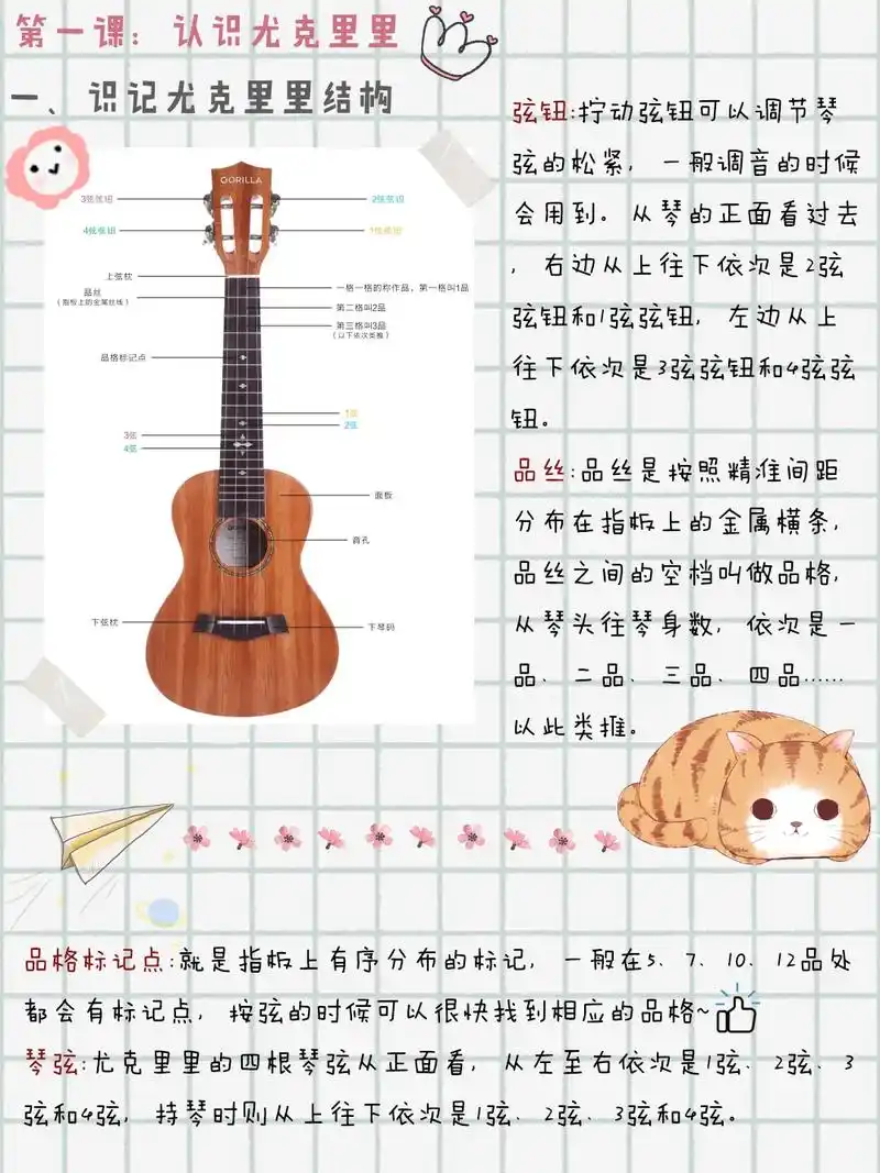 尤克里里零基础自学,第一课:认识尤克里里.干货满满的尤克里里 - 抖音