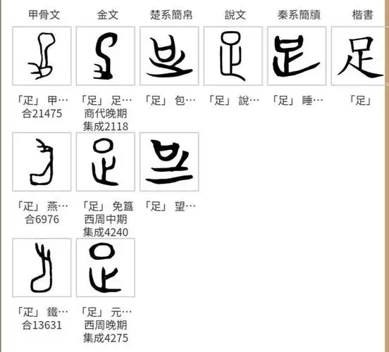 足的甲骨文写法
