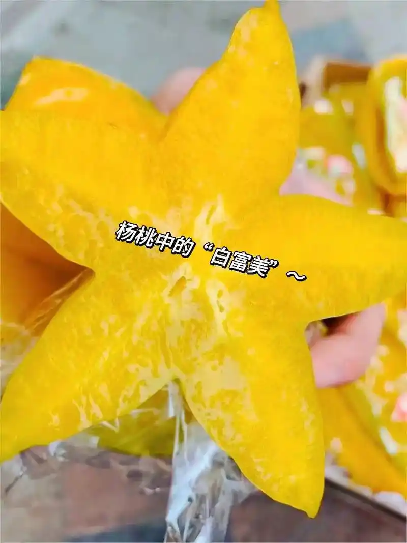 小学课本里的"五角星"是杨桃啊.红龙杨桃 树熟的,才够黄 金 - 抖音