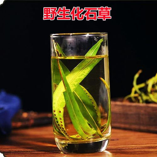 化石草中药结石