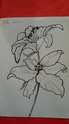 钢笔画—马京陵