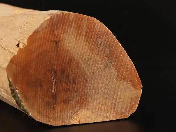 【流】白檀 特大香木 原木 重量1105g kc773