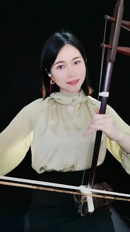 古典中国风国风古韵民乐艺术欣赏二胡独奏南泥湾传承弘扬民乐文化