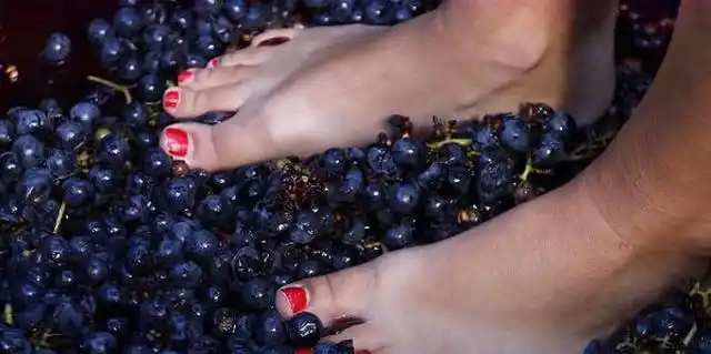 真正的脚艺人这些东西都是他们做的别说恶心肯定都吃过