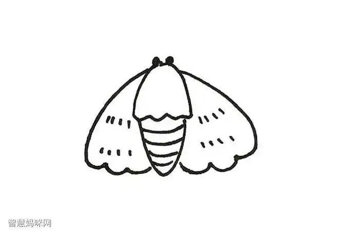 蛾子的卡通简笔画