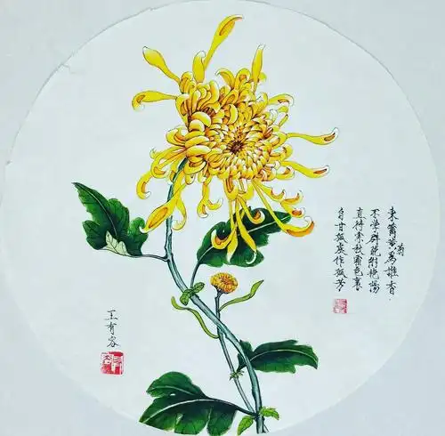 王勇近期作品——工笔重彩菊花欣赏