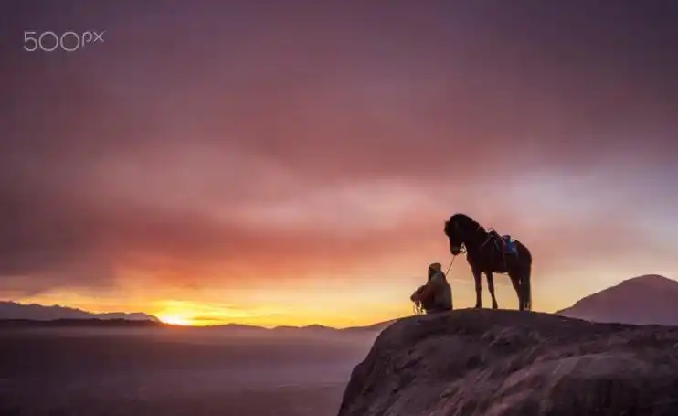 马背看世界别样风景_高清图集_新浪网