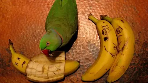 香蕉桌面壁纸之美味水果